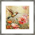 Beautiful Rufous Hummingbird Framed Print