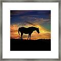 Beautiful Silhouetted Horse In Colorful Sunrise Framed Print