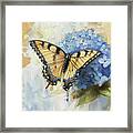 Beautiful Swallowtail Butterfly Framed Print