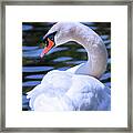 Beautiful Swan Profile Framed Print