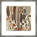 Beautiful Vintage Art Print By Artist Adolphe Millot Of Various Birds And Feathers Framed Print