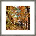 Beauty Of Autumn Framed Print