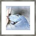 Beauty Framed Print