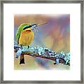 Bee-eater Framed Print