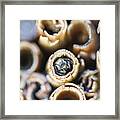 Bee In Wooden Insect Hotel. Framed Print