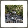 Beedelup Falls, Pemberton, Western Australia Framed Print