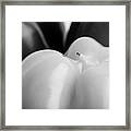 Bell Peppers Black And White Framed Print