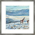 Belt Butte Winter Framed Print