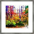 Bent Creek Autumn Framed Print