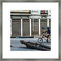 Bici-taxi On Centro Havana. Cuba Framed Print