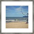 Bicycle On The Beach Framed Print