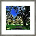 Bidwell Park Bench, Chico, California Framed Print