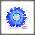 Blue Flower Power Framed Print