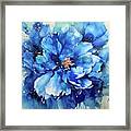 Big Blue Peony Flower Framed Print