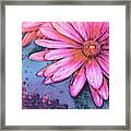 Big Pink Daisy Framed Print