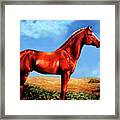 Big Red Framed Print