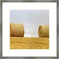 Big Round Bales Of Straw In A Field After Harvest Framed Print