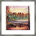 Big Thicket Swamp Framed Print