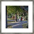 Birches Leaves Waltzes In The City Autumn Park /jurmala Framed Print