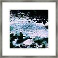 Bird Bathing At Twilight Framed Print