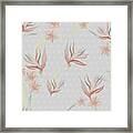 Bird Of Paradise With Plumeria Blossoms Floral Print Framed Print