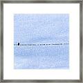 Bird On A Wire In Dots Framed Print