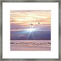 Birds On The Bay At Sunset Framed Print