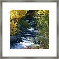 Fall Color And Sun Rays On Bishop Creek Framed Print