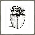 Black And White Succulent In Pot Framed Print