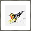 Black Burnian Warbler Framed Print