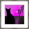 Black Cat Framed Print