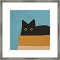 Black Cat In Box Blue Framed Print
