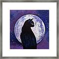 Black Cat Moonlight Framed Print