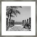 Black Florida Series - Boardwalk Beach In Key West Framed Print