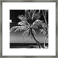 Black Florida Series - Key West Beach Framed Print
