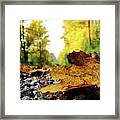 Black Spotted Yellow Marple Leaf On Gravel Road Which Surrounded Forest, Which Playing Many Colors. Pinch Of Autumn In Semptember Framed Print