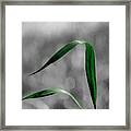 Blades Of Green Framed Print