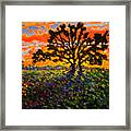 Blazing Sunset Framed Print