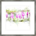 Bleeding Hearts Watercolor Framed Print