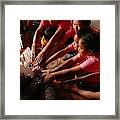 Blessing Ceremony In Laos Framed Print