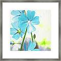 Bleue Framed Print