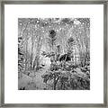 Blizzard In Jurmala Latvia Framed Print