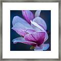 Winter Bloom Framed Print