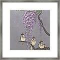 Blooming Wisteria And Sparrows Framed Print