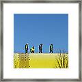 Blue And Yellow Horizon/admin Wide Pick Framed Print