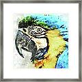 Blue And Yellow Macaw Watercolor Parrot-bird Painting Framed Print
