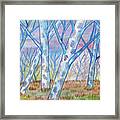 Blue Birch Tree Stand Framed Print