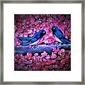 Blue Birds In Spring Framed Print