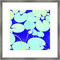Blue Botanics Framed Print