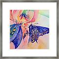 Blue Butterflies Framed Print